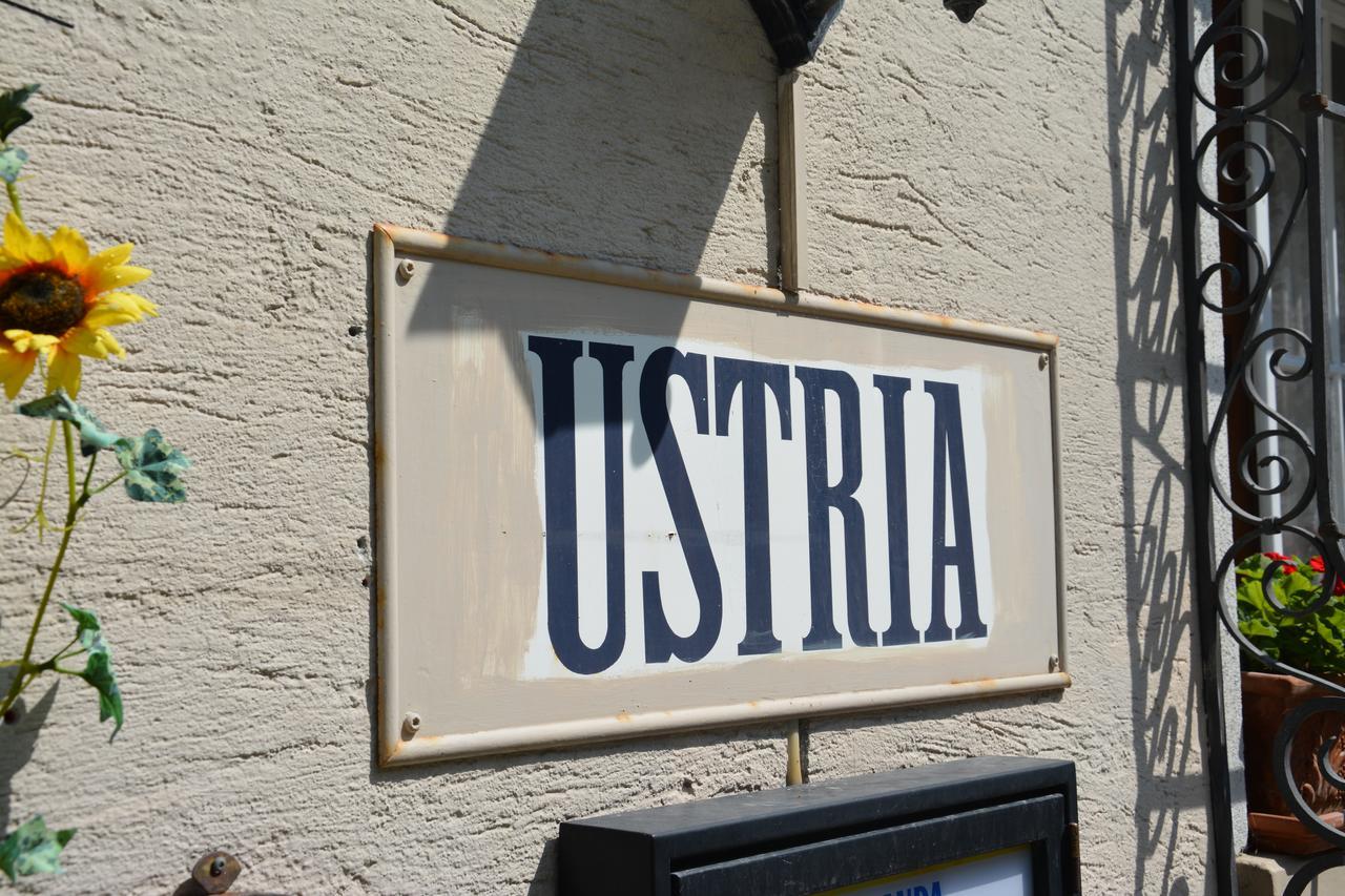Ustria Crusch Alva Acomodação com café da manhã Tavanasa Exterior foto